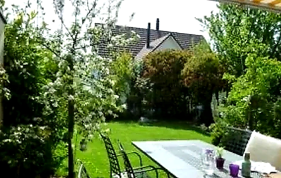 6.5-Zimmer-Doppeleinfamilienhaus für Familien, Herrliberg: Foto 3